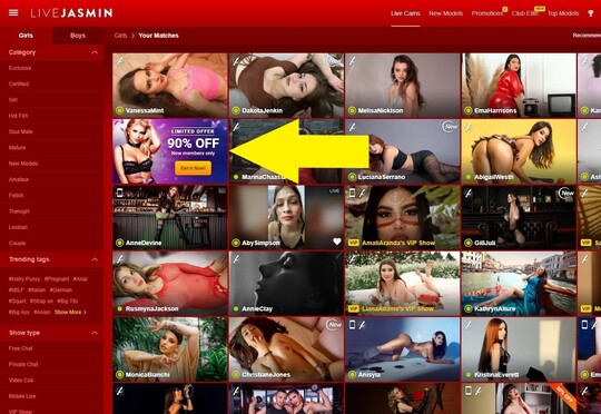 LiveJasmin is a name synonymous with luxurious webcam models